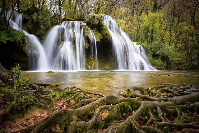 Aktuální Polské Bankovky: Vše, Co Potřebujete Vědět