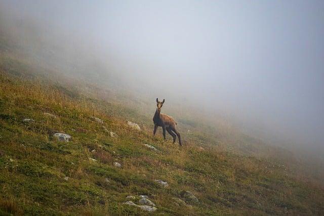 Je Bulharsko v Schengenu? Co Musíte Vědět!