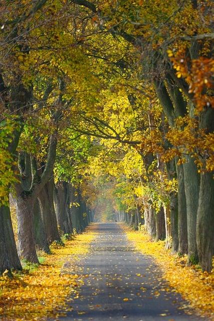 Polsko Zábavní Park Inwald: Zábava pro Celou Rodinu