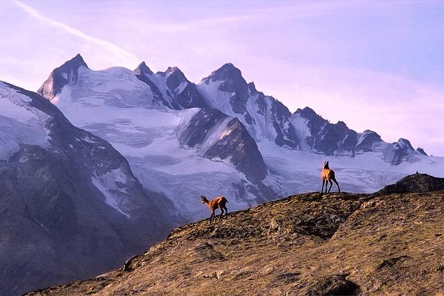 Odměňující trekking a průzkum národních parků v severním Thajsku