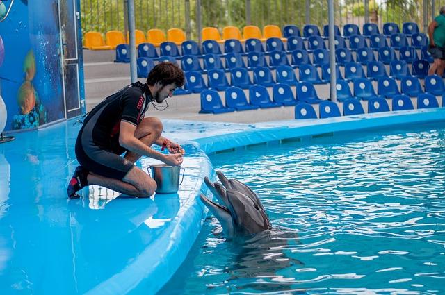Delfinárium v Turecku:‌ Cena a zážitky z ⁤návštěvy