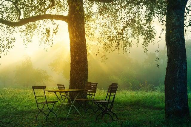 Začněte svou dobrodružnou cestu v Polsko Dream Park